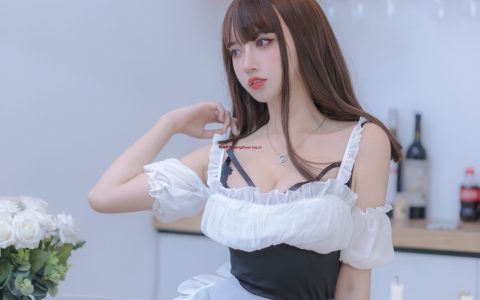 过期米线线喵‌女仆使用手册